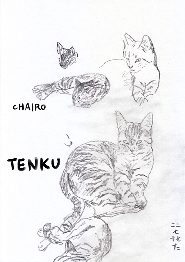 live drawing of tenku the cat